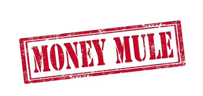 Money Movement Fraud: “Money-in” for Mule Detection – One to Watch In The New Year