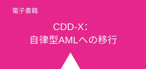 AMLCDD_JP_2ndbox