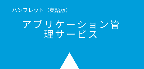 Professionalservic_JP_3rdbox