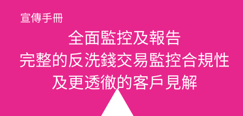 Taiwan_AML_SAM_page_box_4