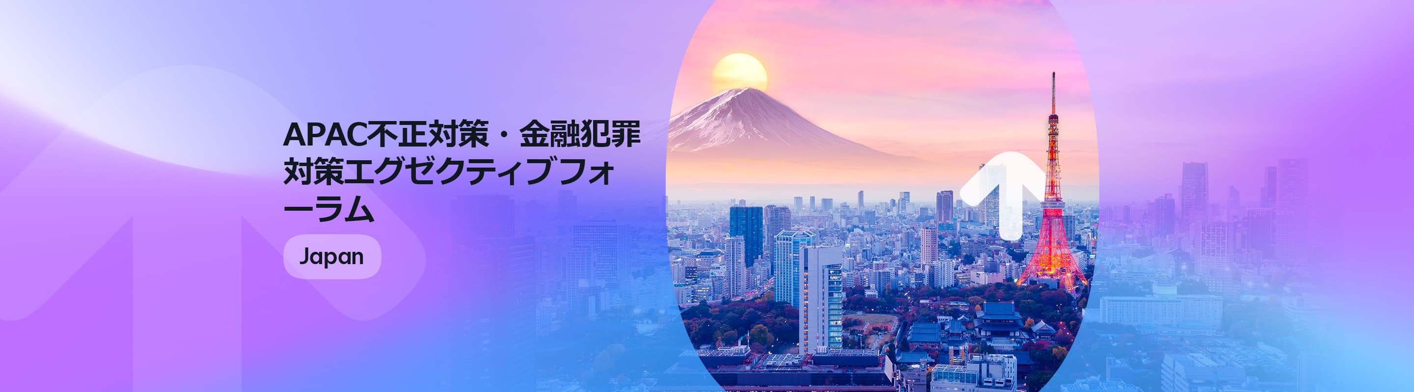 apacfincrimeforum_2880_800_japan2