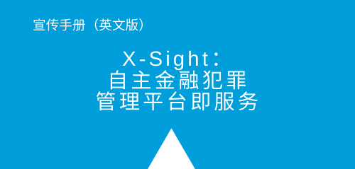 China_Xsight_page_2