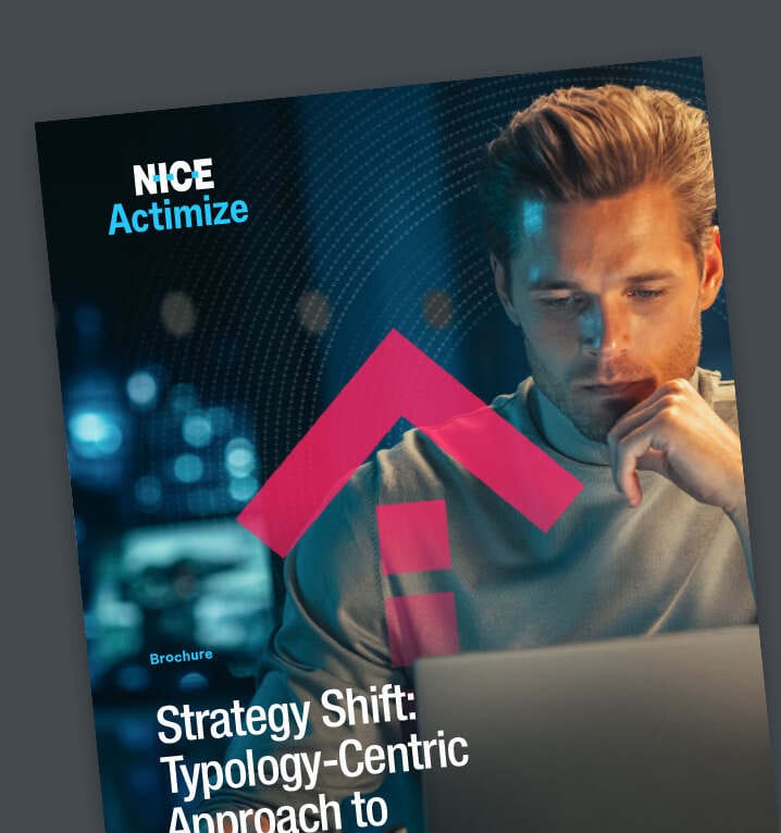 endtoendfraudtypology