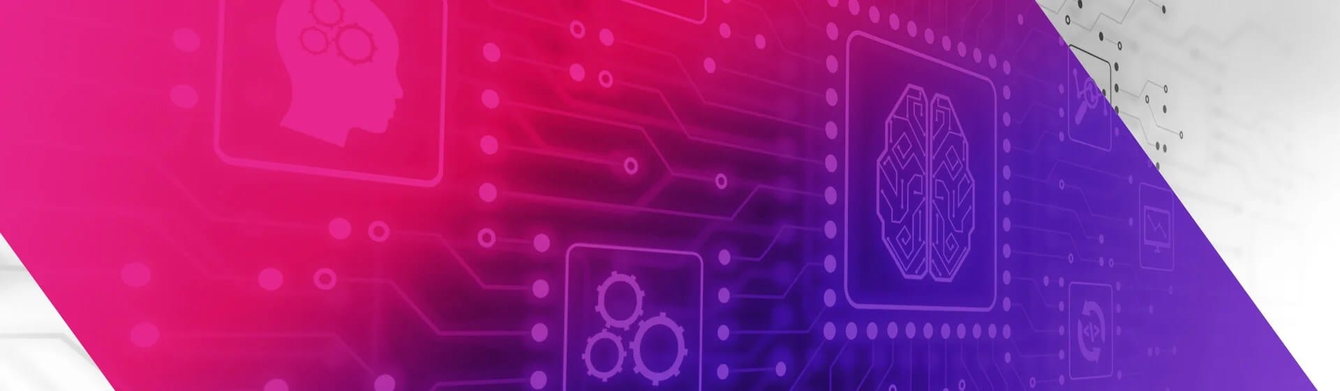 image-7-aml-home-pg_e11a97