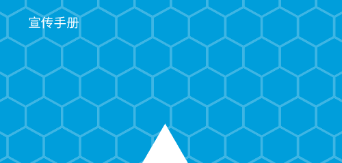 自主反洗钱 (AML) 方案