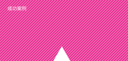 zhCustomer_success_2