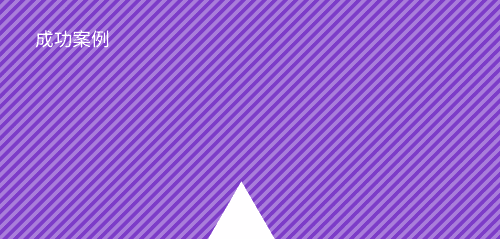 zhCustomer_success_3