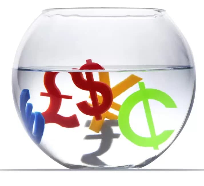 Focus on the Forex: Global Watchdogs Monitor for Manipulation