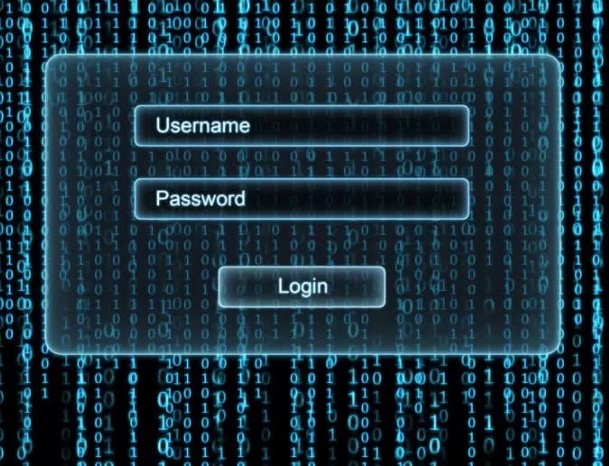 Identity Theft: Measuring the Cost of Fraud