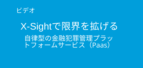 Autonomous_Xsightvideo_JP