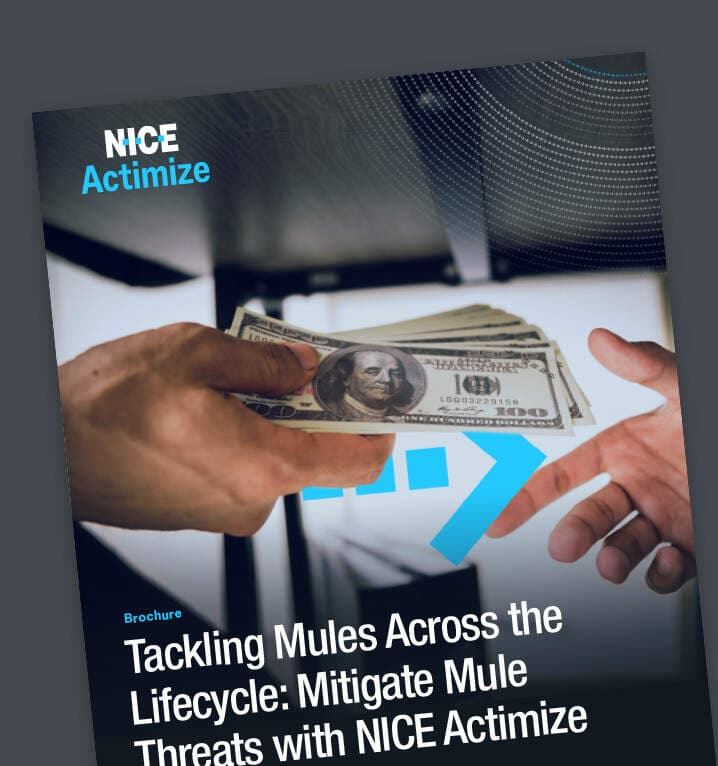 mulesfraudamlbrochure-thumbnail_cover