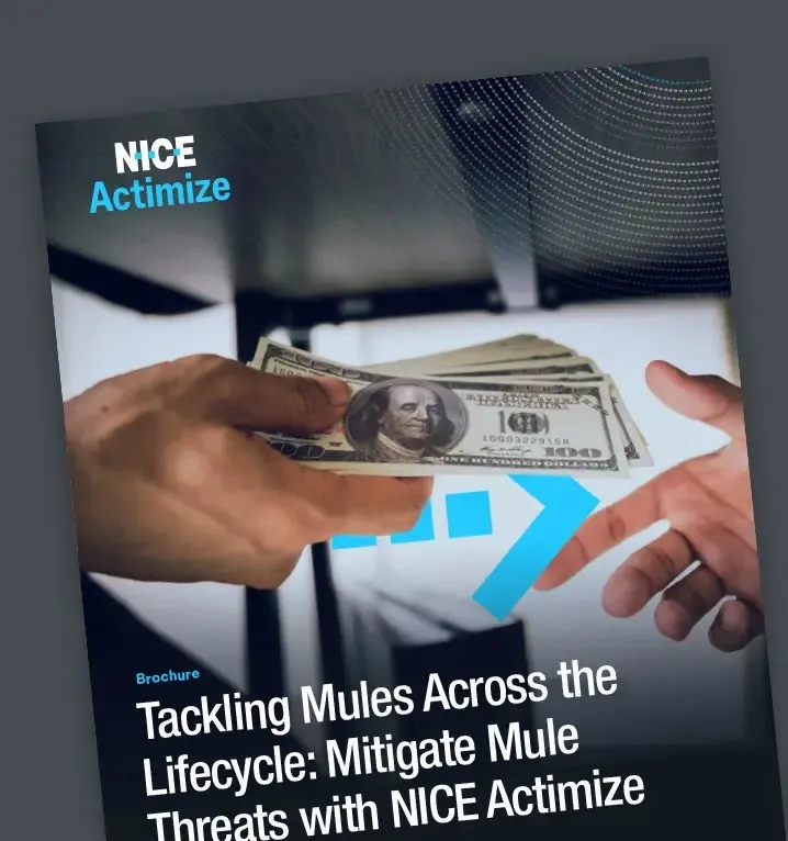 mulesfraudamlbrochure-thumbnail_cover