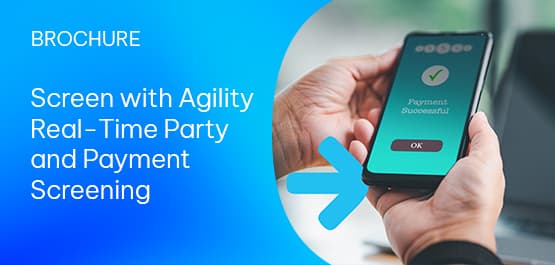 Screen with Agility: Real-Time Party and Payment Screening