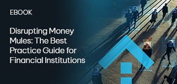 Disrupting Money Mules: The Best Practice Guide for Financial Institutions