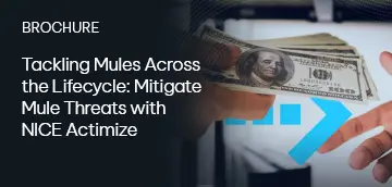 mulesfraudamlbrochure-thumbnail_360