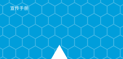 自主反洗钱 (AML) 方案