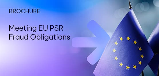 Meeting EU PSR Fraud Obligations