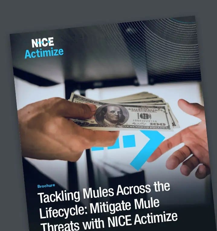 mulesfraudamlbrochure-thumbnail_cover